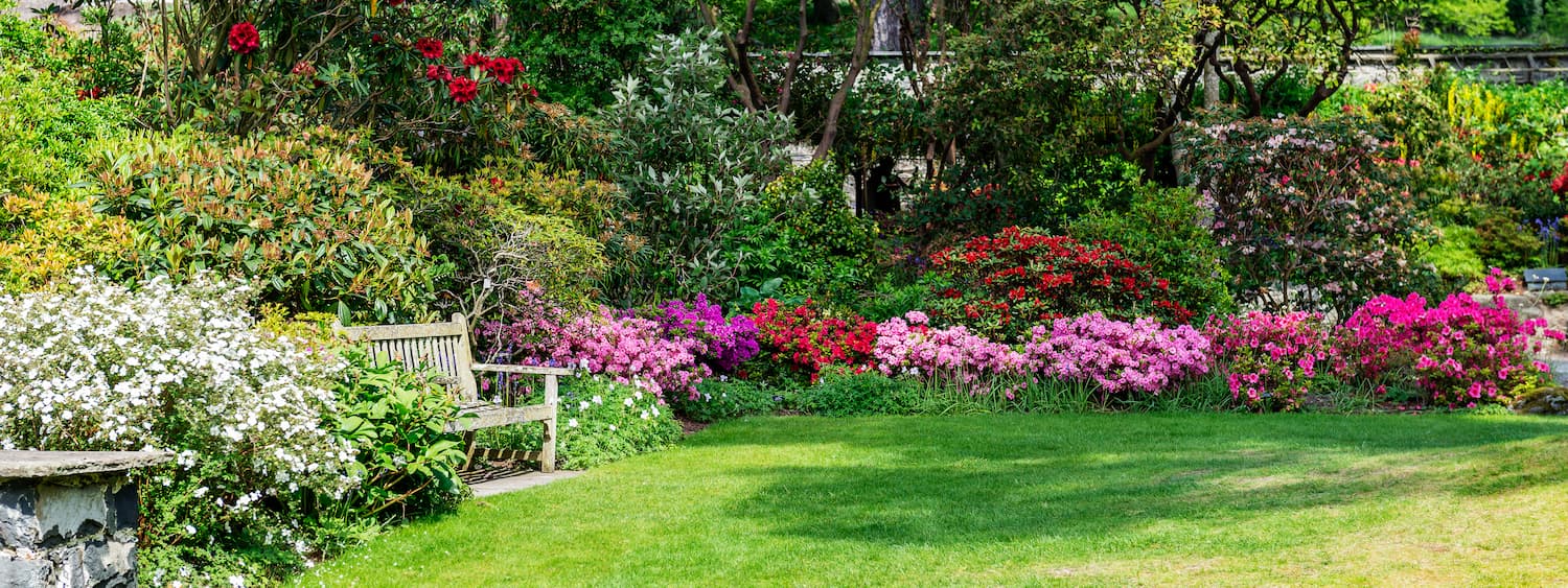 Neu angelegte Garten- und Rasenfläche bei Ulm